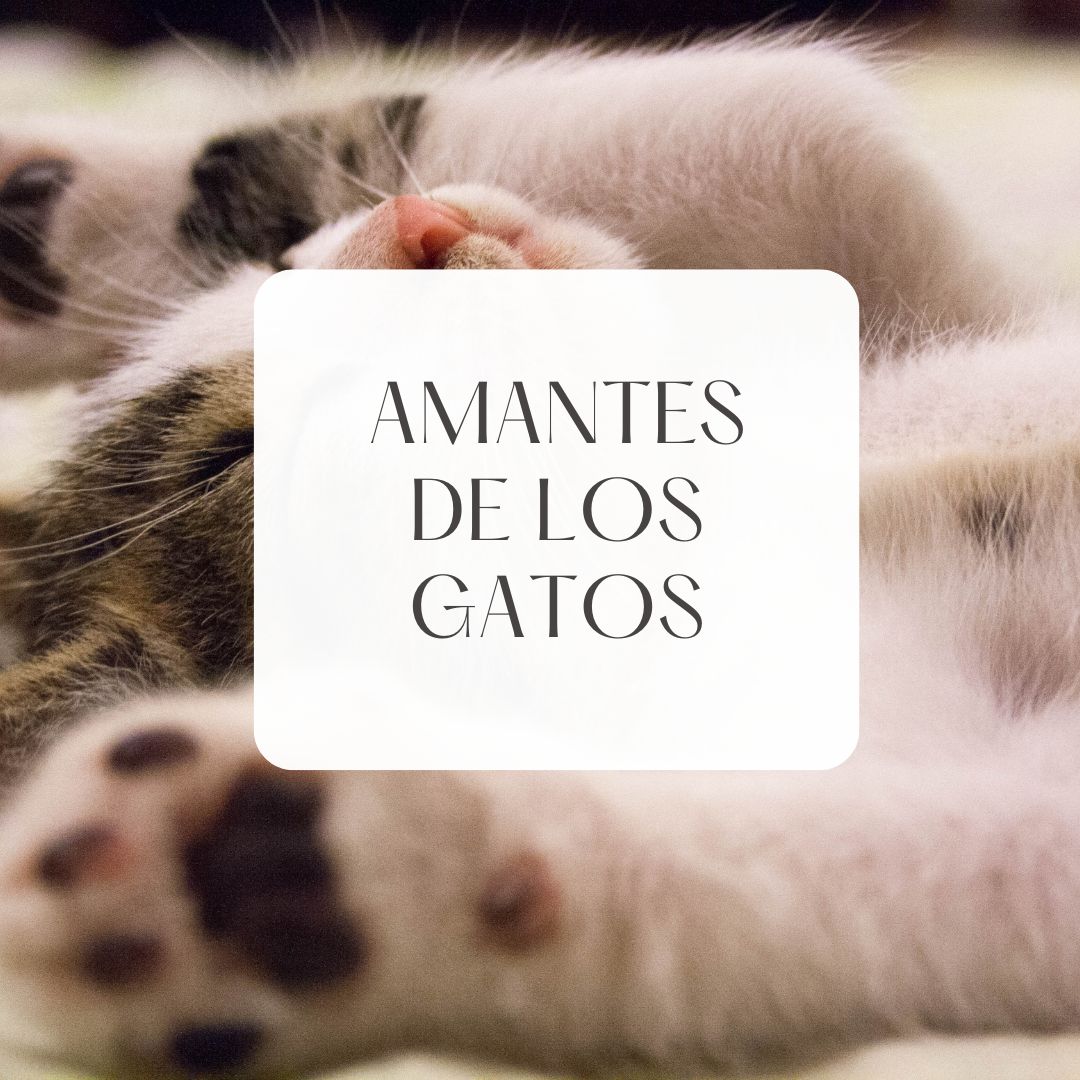 Amantes de los gatos